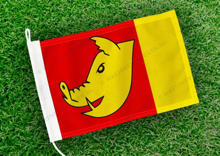 Caravanvlag Aldeboarn