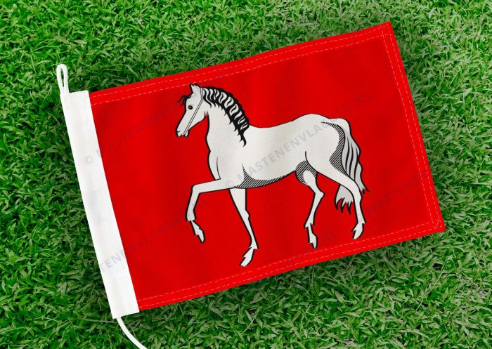 Caravanvlag Assendelft