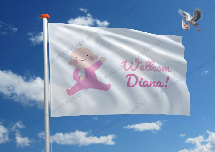 Vlag geboorte meisje