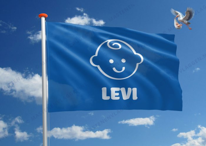 Vlag geboorte jongen