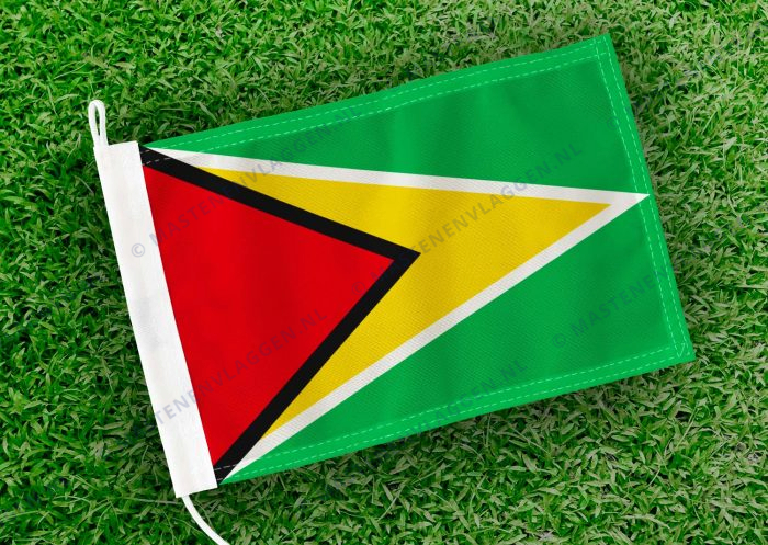Caravan vlaggetje Guyana Bootvlag