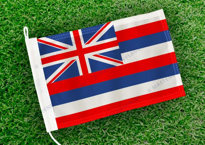 Caravan vlaggetje Hawaii Bootvlag