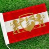 Dorpsvlag Kraggenburg