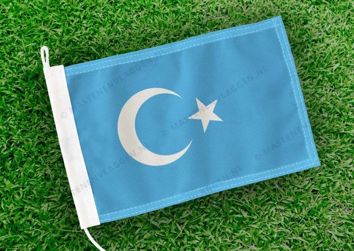 Caravan vlaggetje Oost-Turkestan Bootvlag