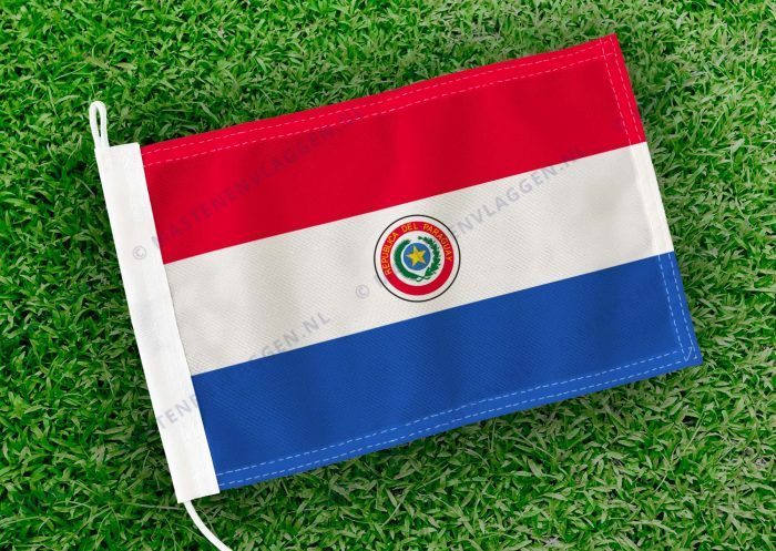 Caravan vlaggetje Paraguay Bootvlag