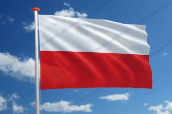 Poolse vlag