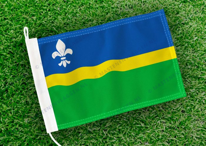 Vlag Flevoland klein
