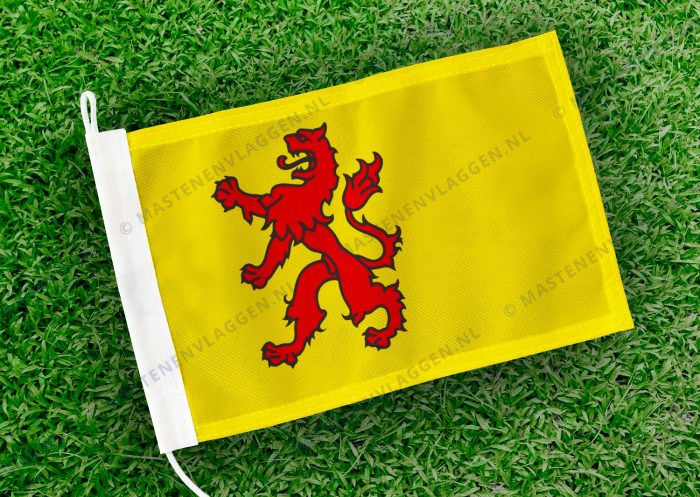 Vlag Zuid-Holland klein
