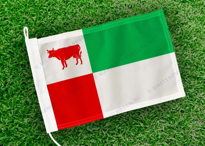 Caravanvlag Bavel