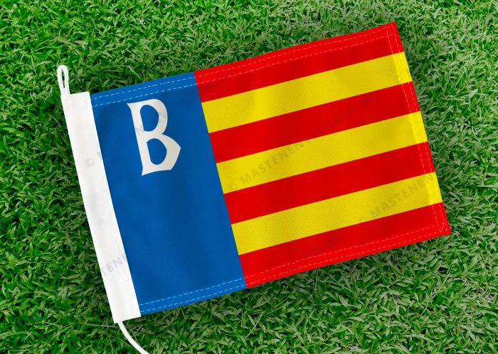 Caravanvlag Brongerga