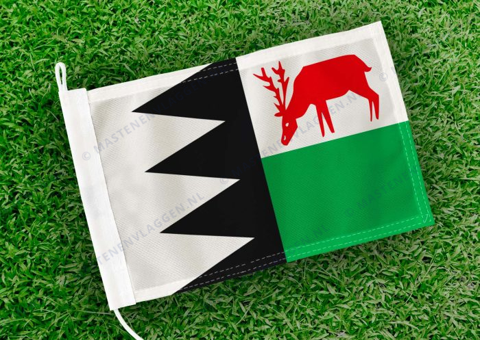 Caravanvlag Bruinisse