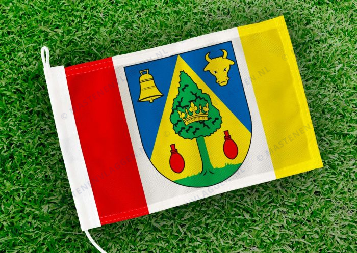 Caravanvlag Drogeham
