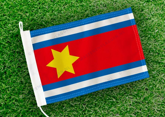 Caravanvlag Eenrum