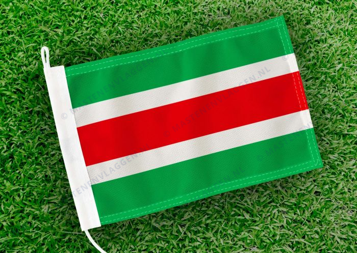 Caravanvlag Garijp