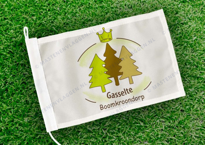 Caravanvlag Gasselte