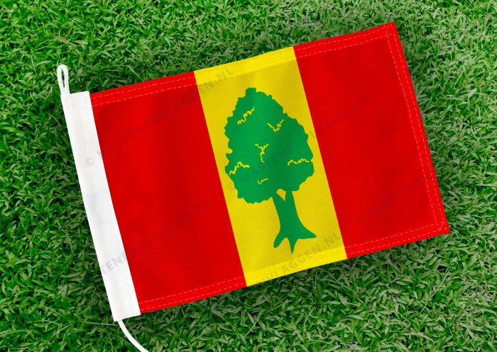 Caravanvlag Giekerk