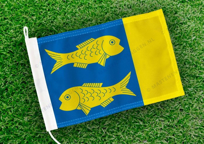 Caravanvlag Grou