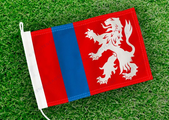 Caravanvlag Heenvliet