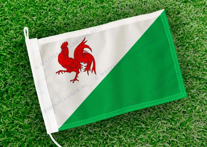 Dorpsvlag Heinkenszand (variant)