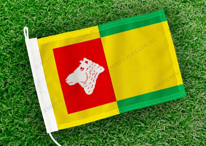 Caravanvlag Houtigehage