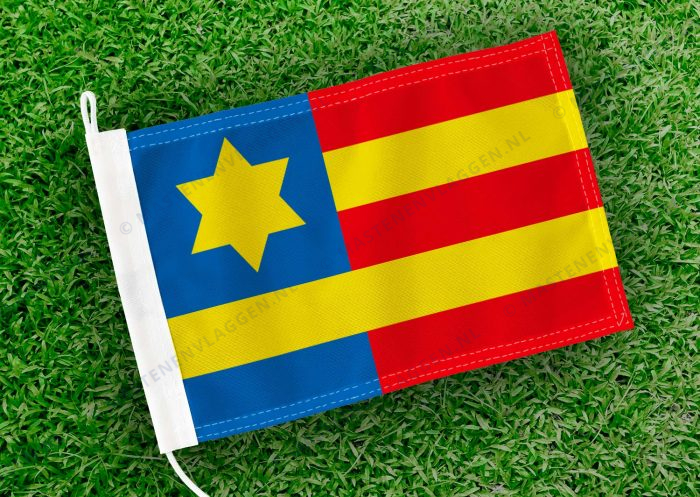 Caravanvlag Koudum