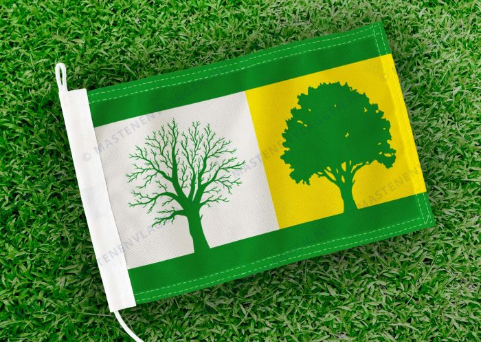 Caravanvlag Luinjeberd