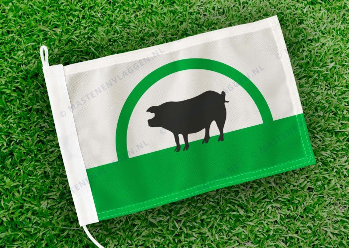 Caravanvlag Maarsseveen