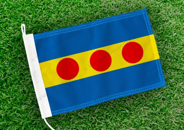 Caravanvlag Neede
