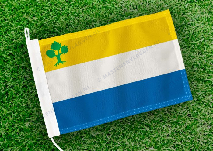 Caravanvlag Nieuwstadt