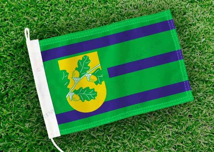 Caravanvlag Nijeholtpade