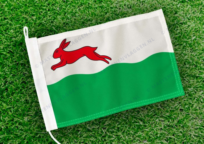 Caravanvlag Oudehaske
