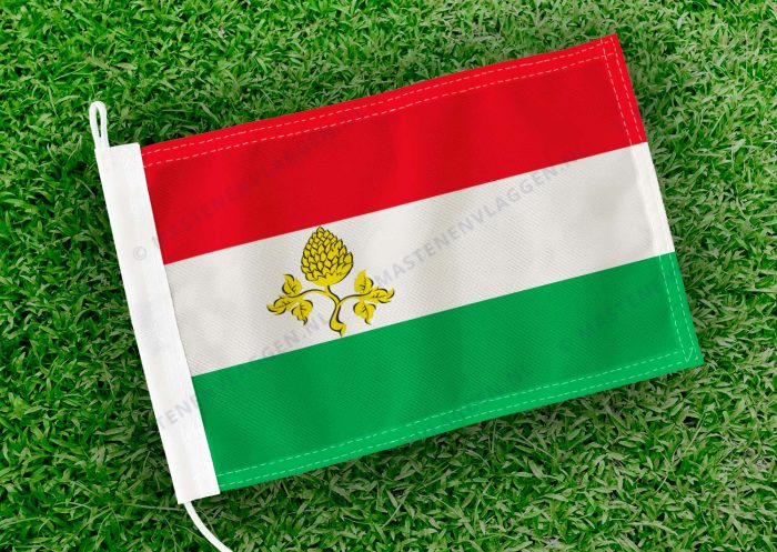 Caravanvlag Peize