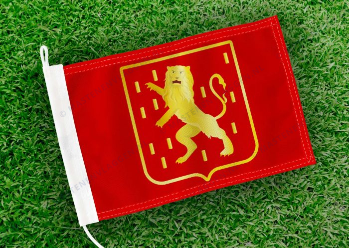Dorpsvlag Renesse (variant)