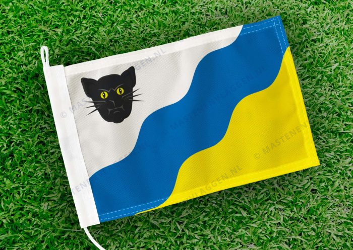 Caravanvlag Ried