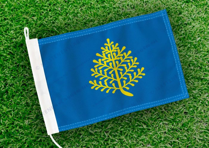 Caravanvlag Rijsen