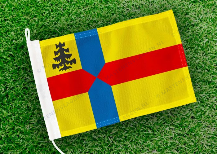Caravanvlag Ruinen