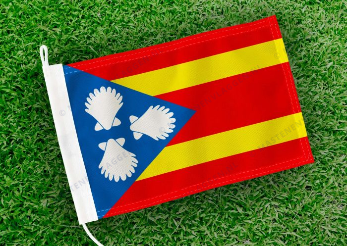 Caravanvlag Sint Jacobiparochie