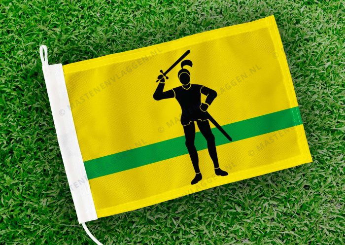 Caravanvlag Stedum