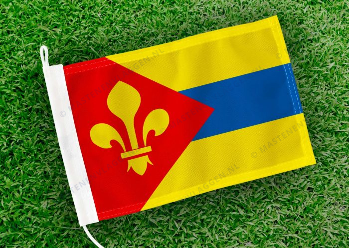 Caravanvlag Surhuizum