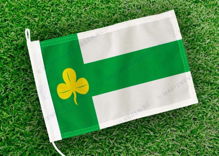 Dorpsvlag Terwispel