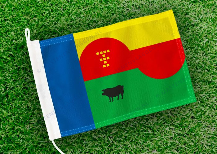 Caravanvlag Tienhoven
