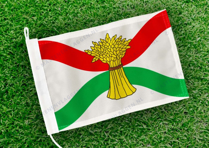 Caravanvlag Uffelte