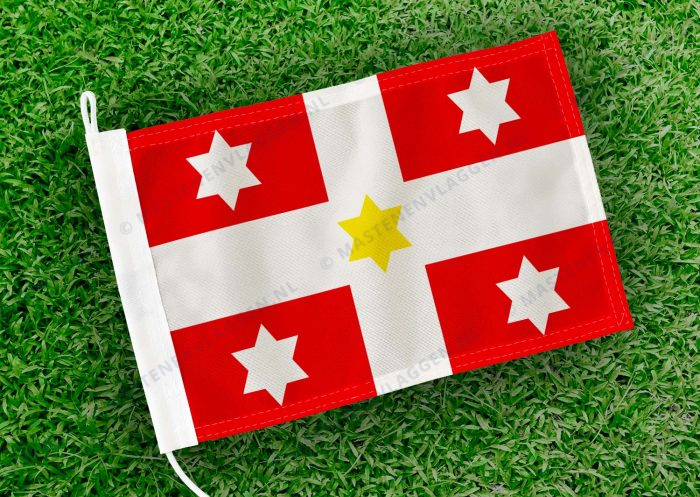 Caravanvlag Vollenhove