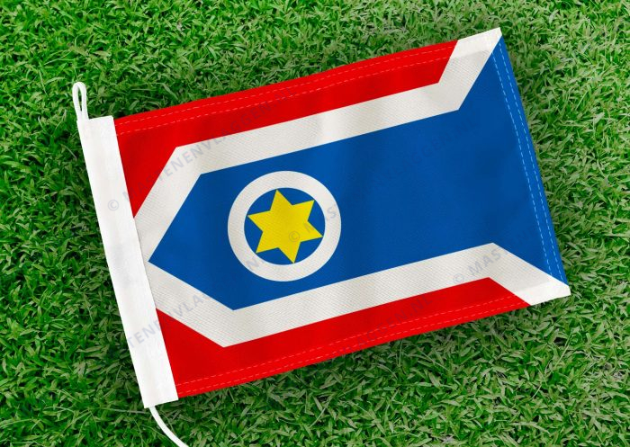 Dorpsvlag Welsrijp