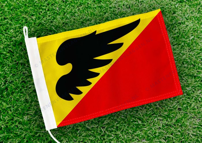 Dorpsvlag Wetsens