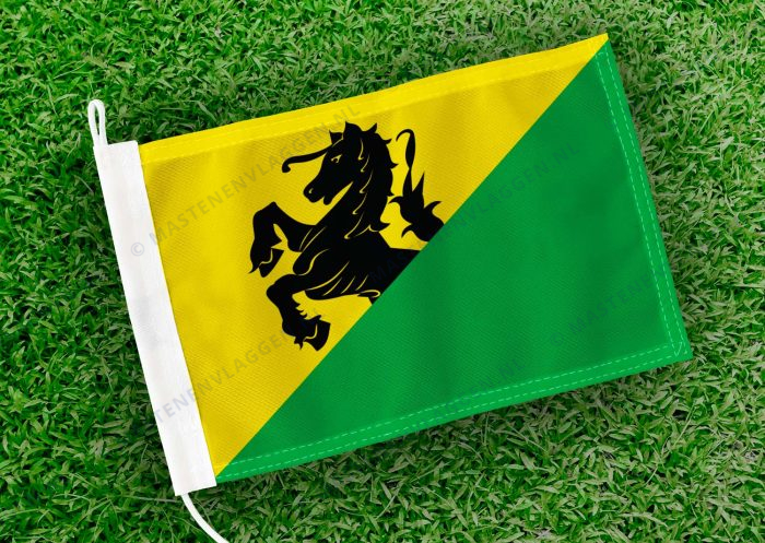 Caravanvlag Wirdum