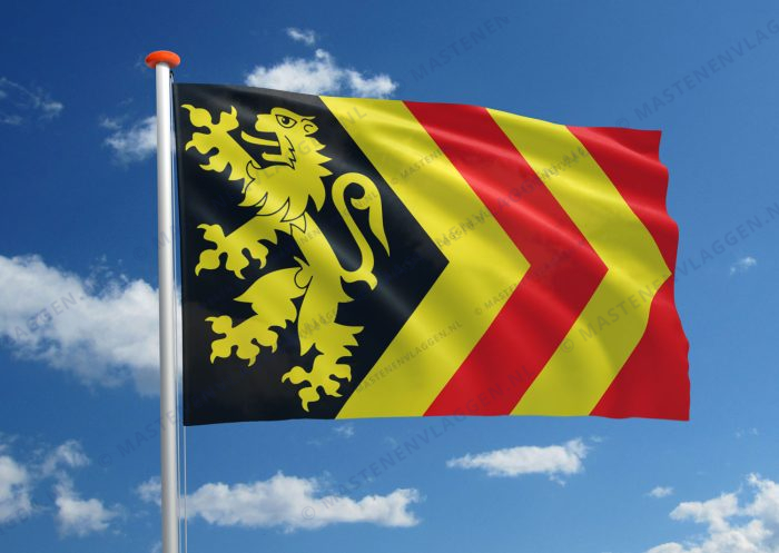 Vlag Hoogeloon