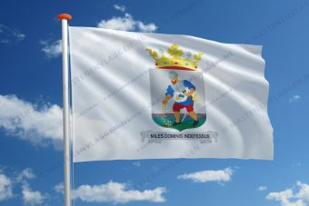 Dorpsvlag Nieuwolda