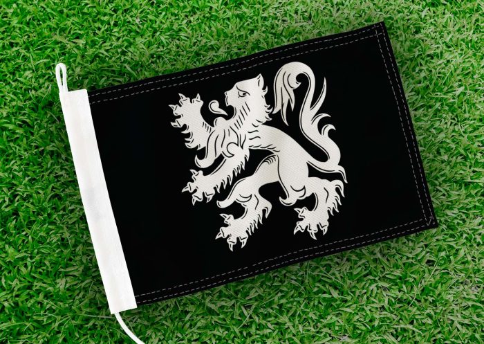 Caravanvlag Asse