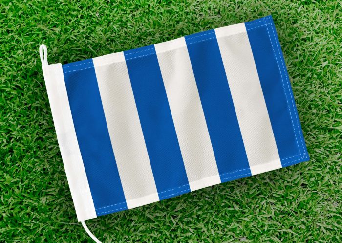 Caravanvlag Berlaar
